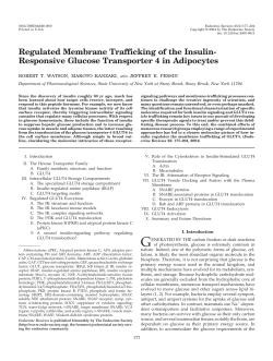 Regulated Membrane Trafficking of the Insulin
