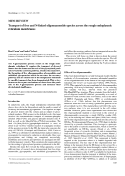 MINI REVIEW Transport of free and N-linked