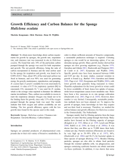 Growth Efficiency and Carbon Balance for the Sponge Haliclona