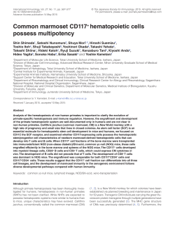 Common marmoset CD117+ hematopoietic cells possess