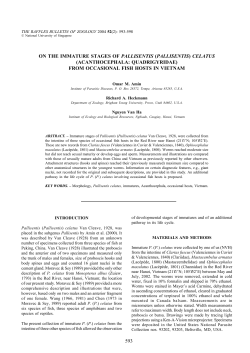 593 on the immature stages of pallisentis (pallisentis) celatus