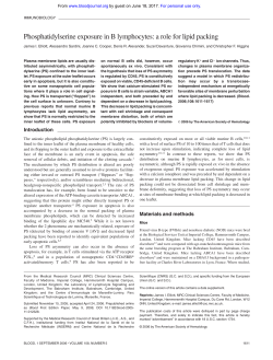 Phosphatidylserine exposure in B lymphocytes: a role for lipid packing