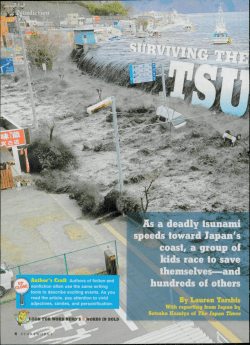Surviving the Tsunami Article