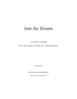 Into the Stream - Access to Insight