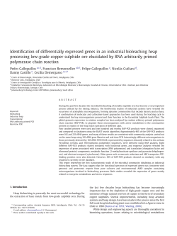 Galleguillos_Pedro - Repositorio Acad&eacute;mico