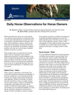 Daily Horse Observations for Horse Owners