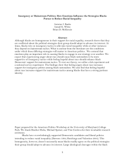 Insurgency or Mainstream Politics: How Emotions