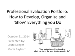Professional Evaluation Portfolio