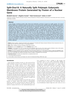 Split-Doa10 : A naturally split polytopic eukaryotic membrane protein