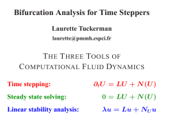 Bifurcation Analysis for Time Steppers