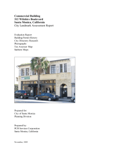 Consultant`s Report - City of Santa Monica