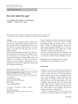 Do roots mind the gap? | SpringerLink