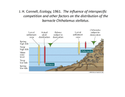 J. H. Connell, Ecology, 1961. The influence of interspecific