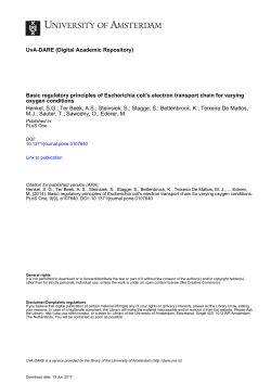 Basic regulatory principles of Escherichia coli`s electron transport