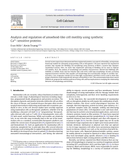 Analysis and regulation of amoeboid-like cell motility using synthetic
