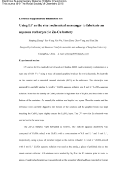 Supplementary Information