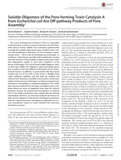 Soluble Oligomers of the Pore-forming Toxin Cytolysin A from