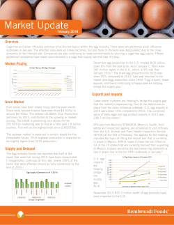 PDF - Rembrandt Foods