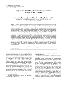 Early bacterial and fungal colonization of leaf litter in Fossil
