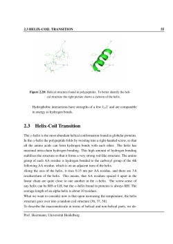 2.3 Helix-Coil Transition