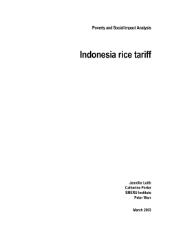Indonesia Rice Tariff