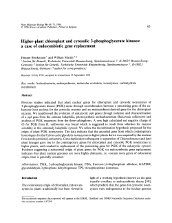 Higher-plant chloroplast and cytosolic 3