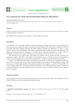 New synonyms for South American/Brazilian Pottiaceae (Bryophyta)