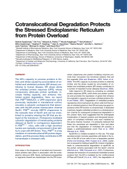 Cotranslocational Degradation Protects the Stressed Endoplasmic