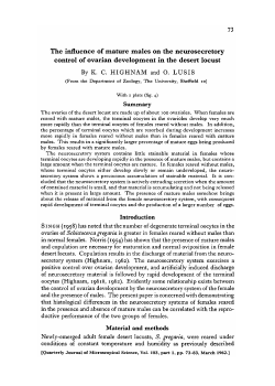 The influence of mature males on the neurosecretory control of