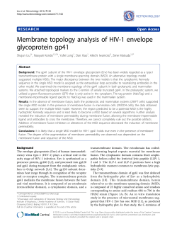 Membrane topology analysis of HIV-1 envelope glycoprotein gp41