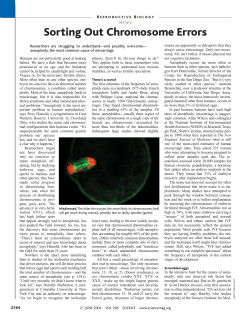 Sorting Out Chromosome Errors