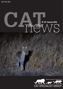 Camera trap records of Asiatic golden cat at high altitudes