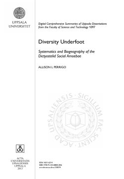 Diversity Underfoot