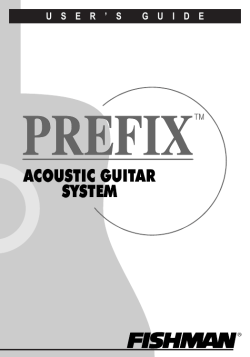 Prefix - Martin Guitar