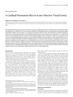 A Cardinal Orientation Bias in Scene
