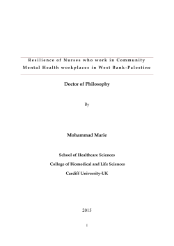 Doctor of Philosophy Mohammad Marie 2015