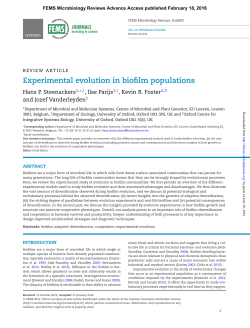 Experimental evolution in biofilm populations