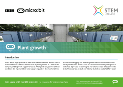 Plant growth