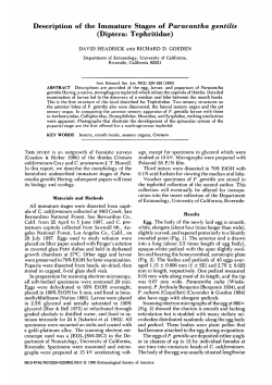 Description of the Immature Stages of