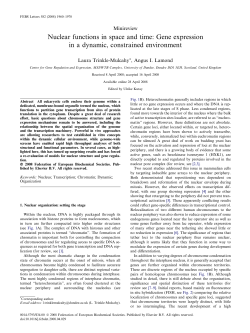 Nuclear functions in space and time