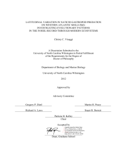latitudinal variation in naticid gastropod predation on western