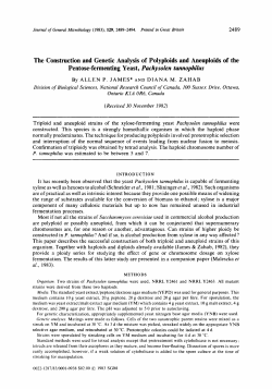 The Construction and Genetic Analysis of Polyploids