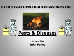 Download/View PDF - Gold Coast Regional BeeKeepers