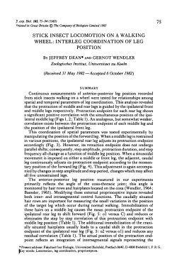 stick insect locomotion on a walking wheel: interleg coordination of