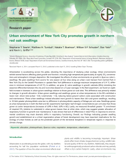 Urban environment of New York City promotes