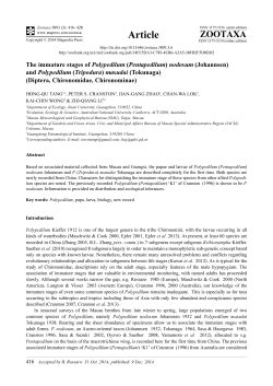 The immature stages of Polypedilum (Pentapedilum) nodosum