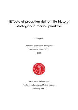 Effects of predation risk on life history strategies in marine plankton
