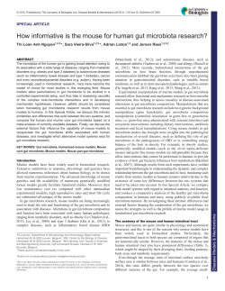 How informative is the mouse for human gut microbiota research?