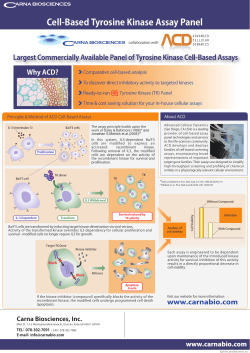 Cell-Based Tyrosine Kinase Assay Panel