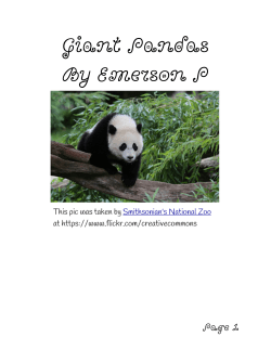 Book Endanged Animals